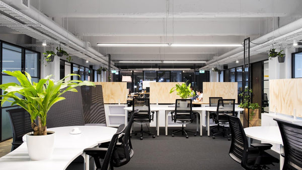 How The Modern Lifestyle Impacts New Offices - Criterion Industries